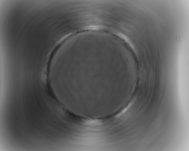 X0000088141170200706042003