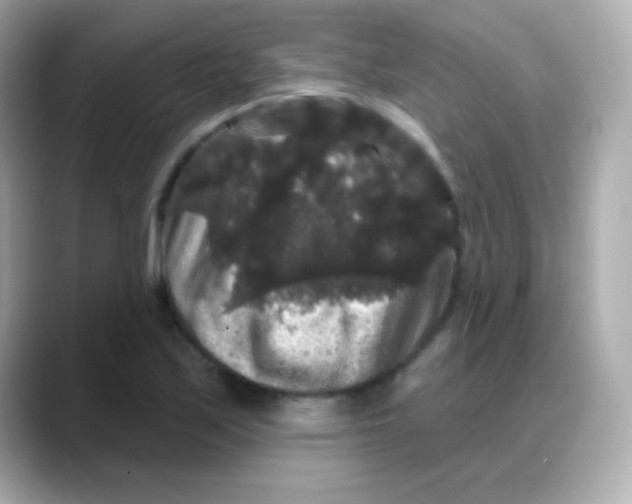 X0000088141171200706042003