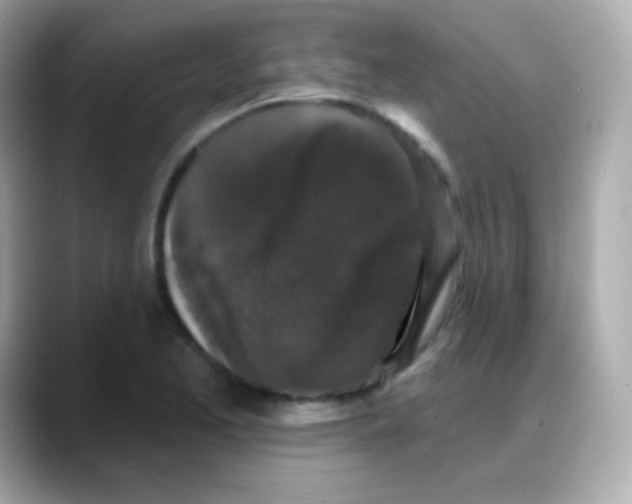 X0000088141173200706042003