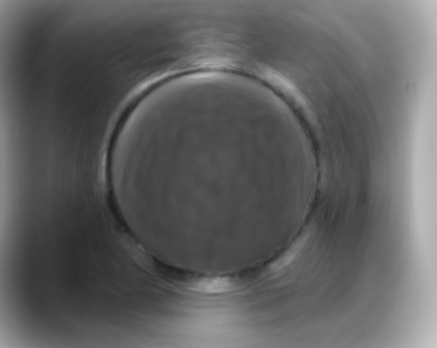 X0000088141174200706042003