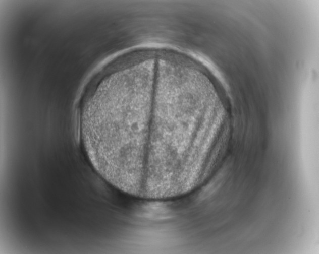 X0000088141175200706042003