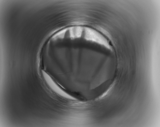 X0000088141179200706042003