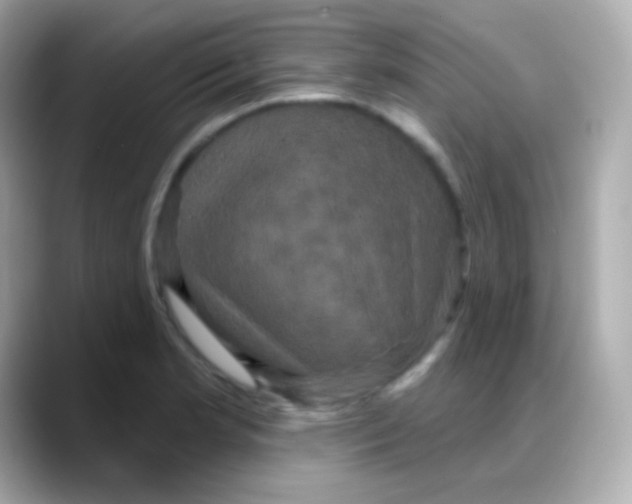 X0000088141181200706042003