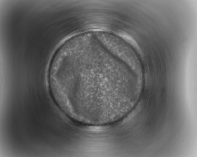 X0000088141182200706042003