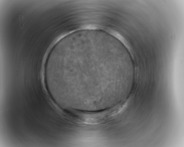 X0000088141187200706042003