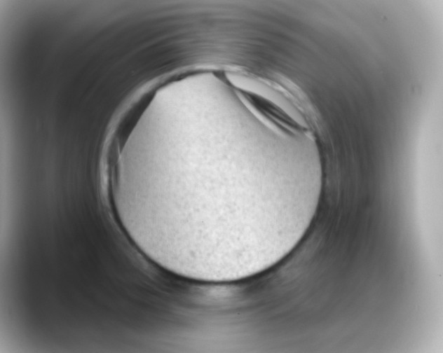 X0000088141188200706042003