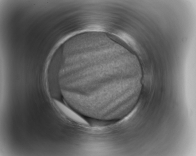 X0000088141192200706042003