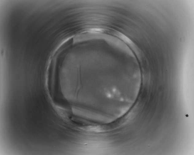 X0000088141194200706042003