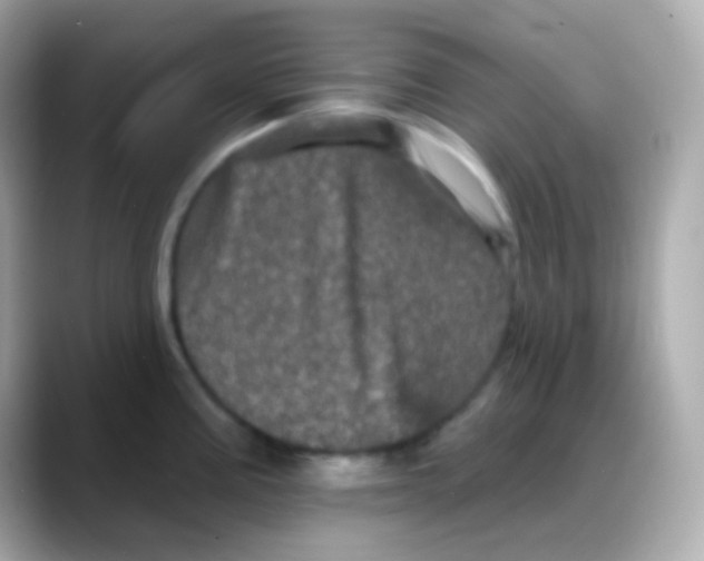 X0000088141195200706042003