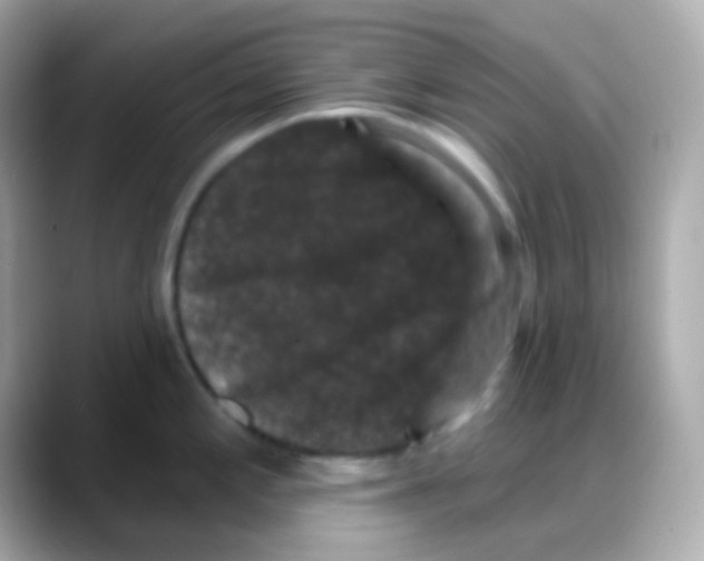 X0000088141197200706042003