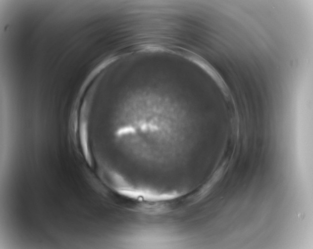 X0000088141198200706042003