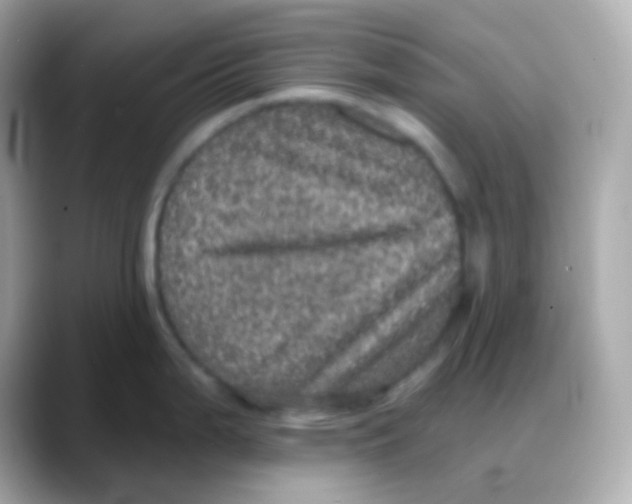 X0000088141199200706042003