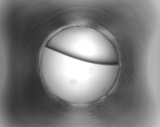 X0000088141200200706042002