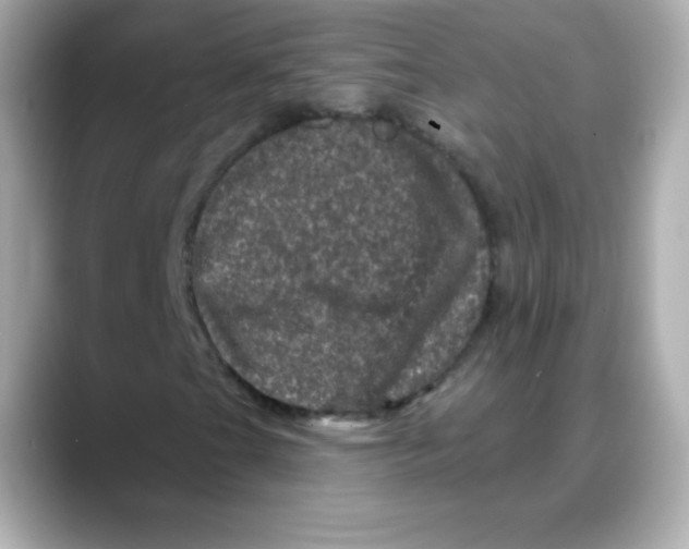 X0000088141201200706042002