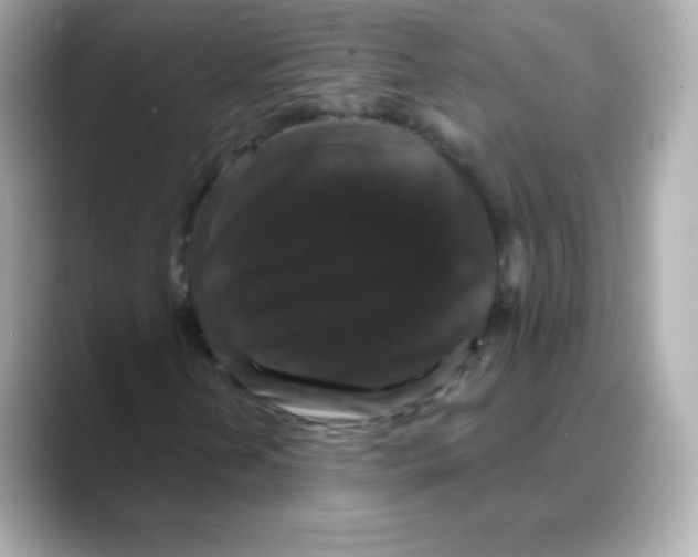 X0000088141202200706042002