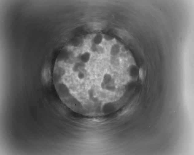 X0000088141203200706042002