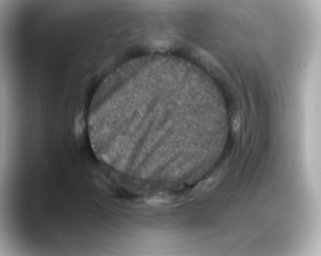 X0000088141204200706042002