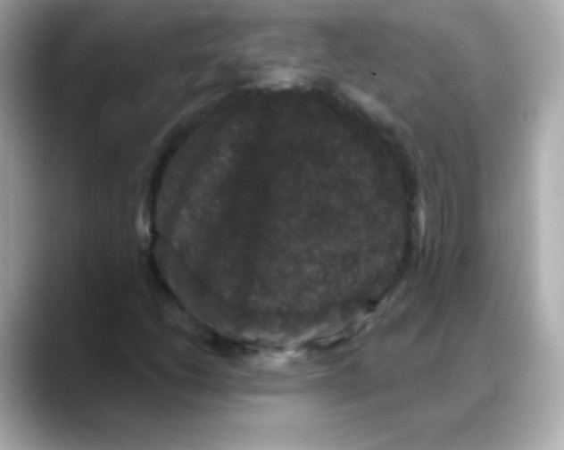 X0000088141206200706042002