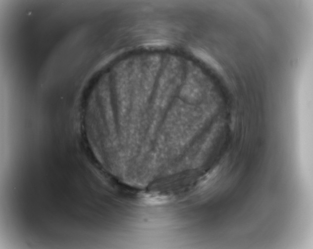 X0000088141208200706042002