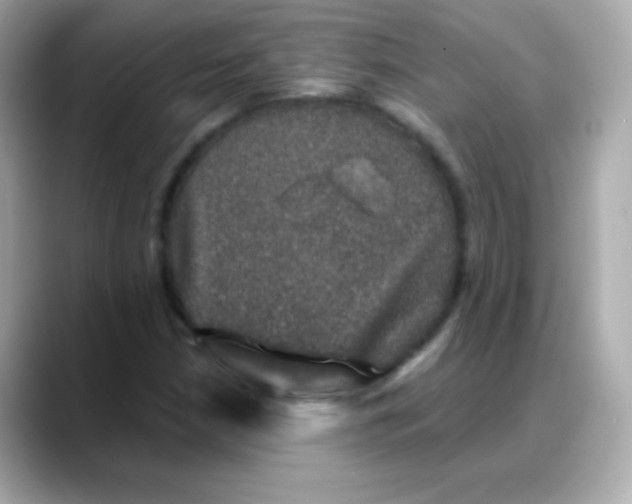 X0000088141210200706042002