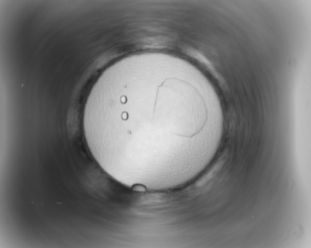 X0000088141211200706042002