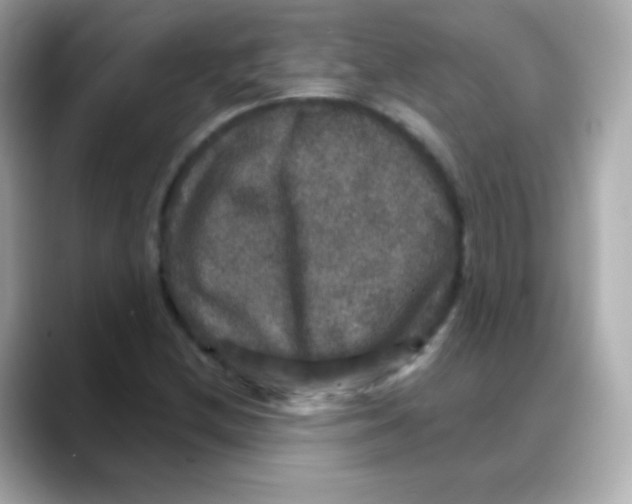 X0000088141212200706042002