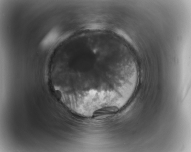 X0000088141213200706042002