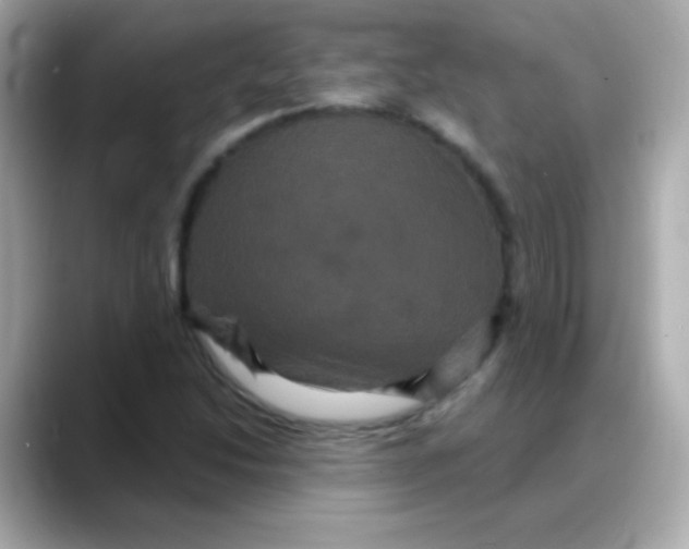 X0000088141214200706042002