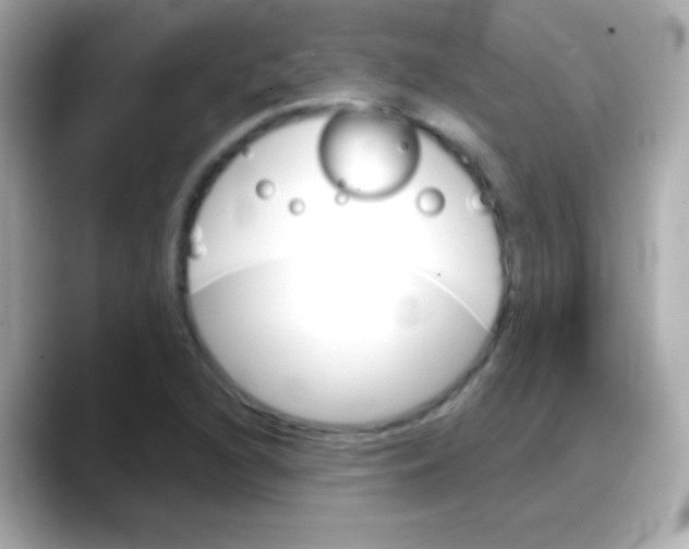 X0000088141216200706042002