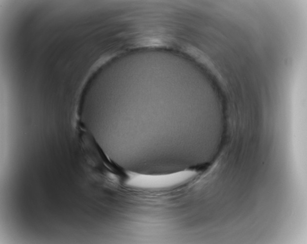 X0000088141218200706042002