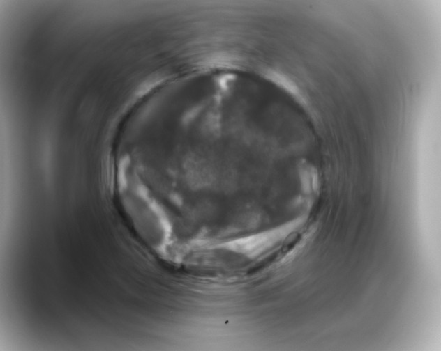 X0000088141219200706042002