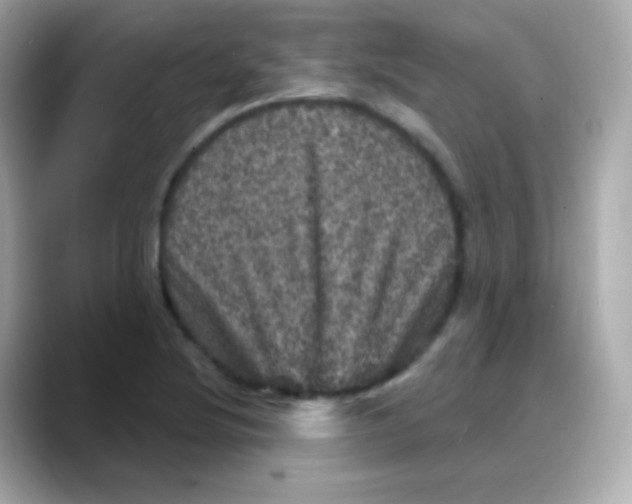 X0000088141220200706042002