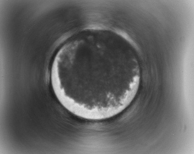 X0000088141221200706042002