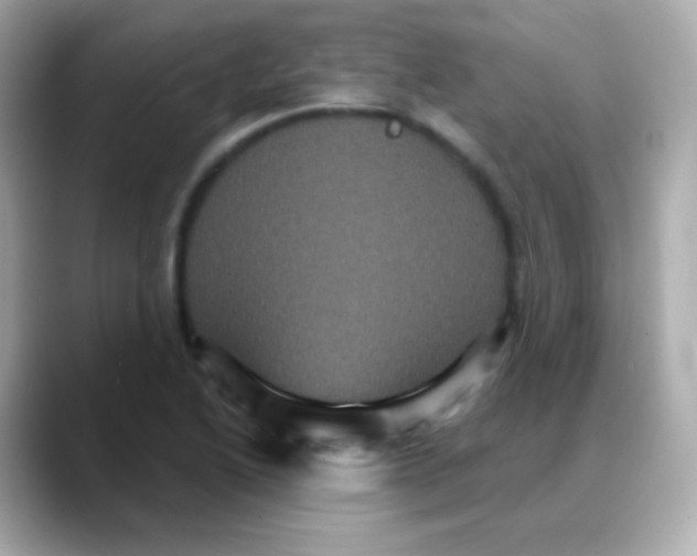 X0000088141222200706042002