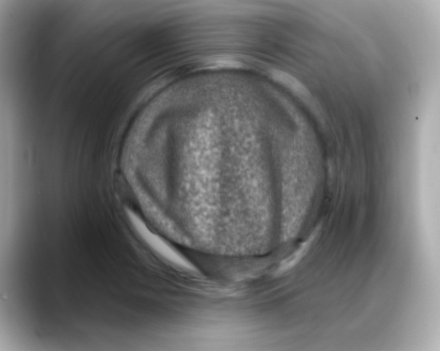 X0000088141225200706042002