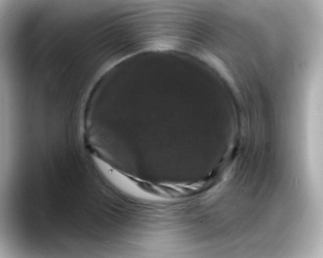 X0000088141226200706042002