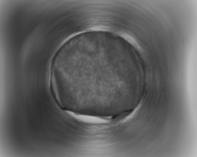 X0000088141228200706042002