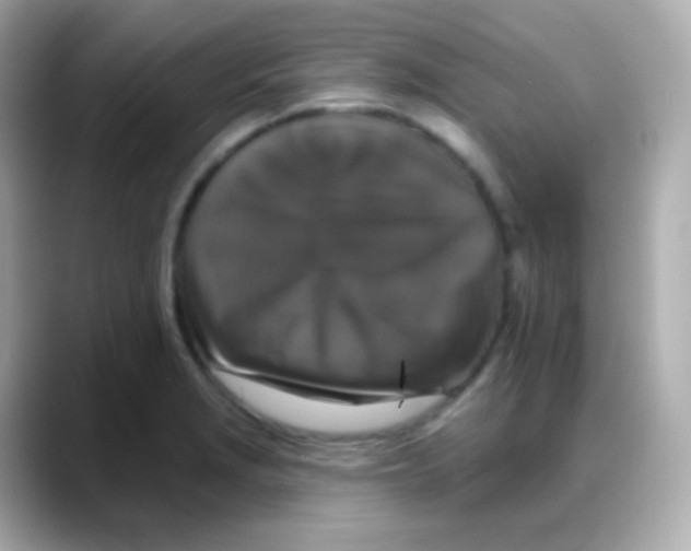 X0000088141229200706042002