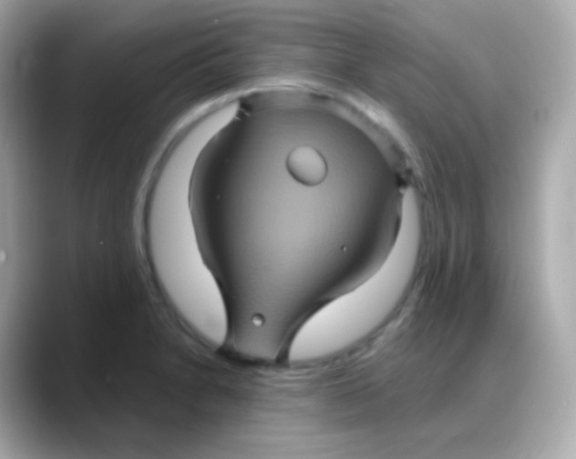 X0000088141230200706042002