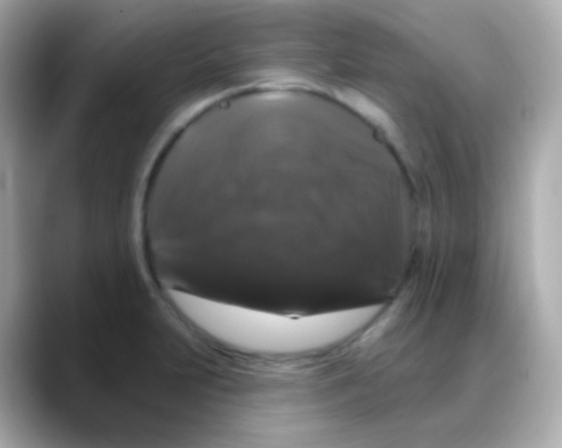 X0000088141231200706042002