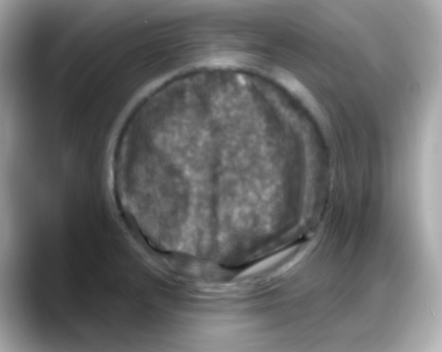 X0000088141232200706042002