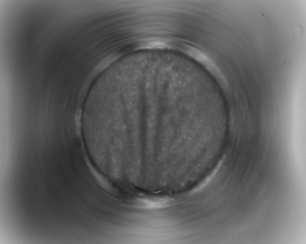 X0000088141233200706042002