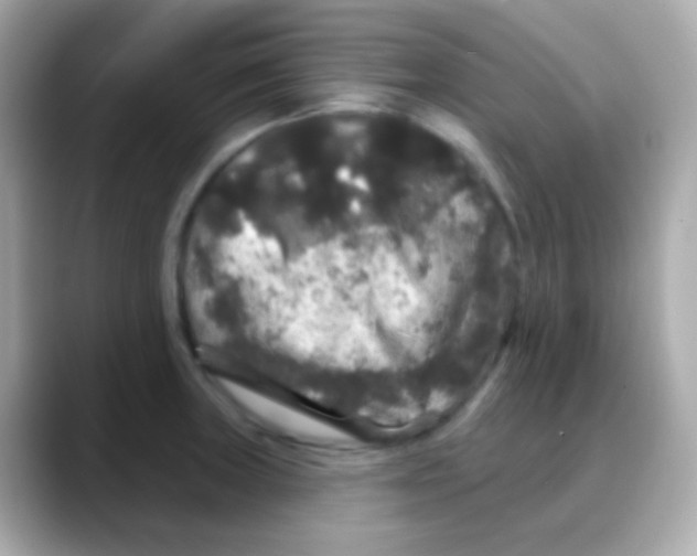 X0000088141235200706042002