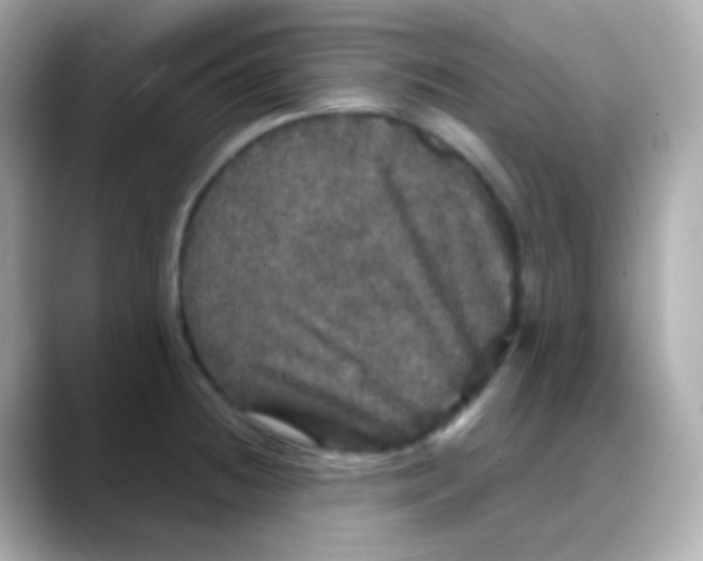 X0000088141236200706042002