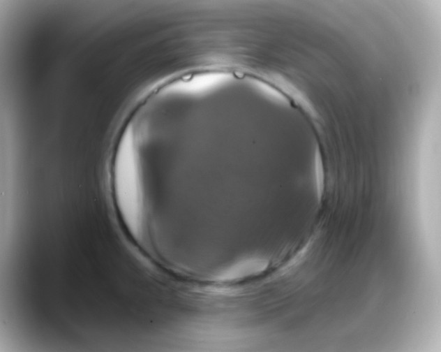 X0000088141239200706042002