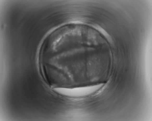 X0000088141240200706042002