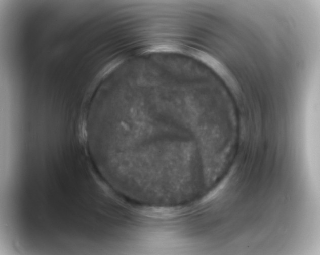 X0000088141241200706042002