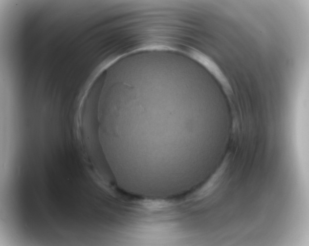 X0000088141242200706042002