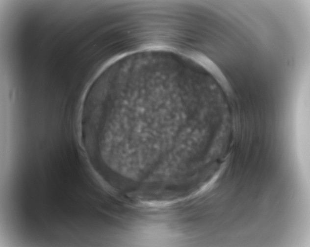 X0000088141244200706042002