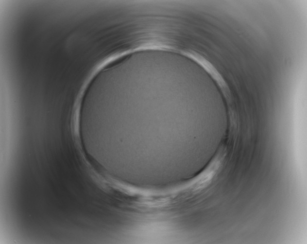 X0000088141246200706042002